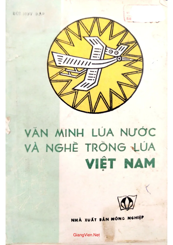 Ảnh bìa của Văn minh lúa nước và nghề trồng lúa Việt Nam