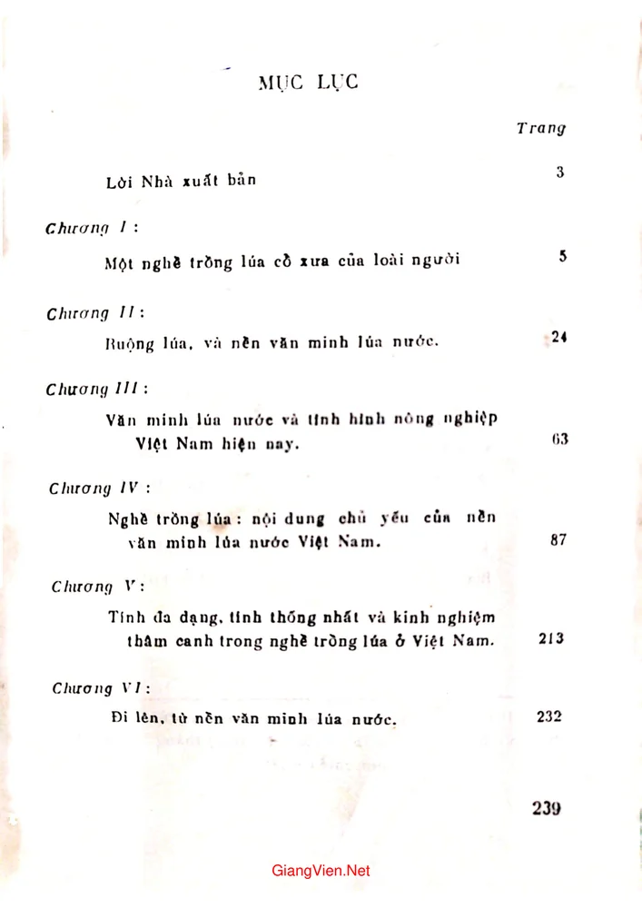 Trang bìa chính thức sách Văn minh lúa nước và nghề trồng lúa Việt Nam