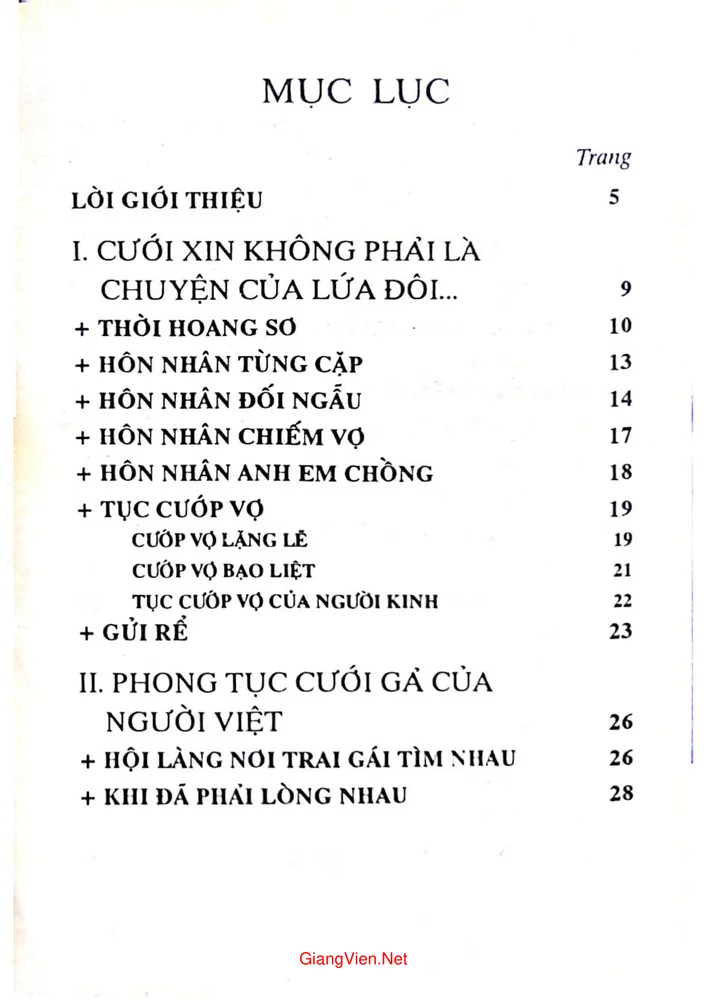 Trang bìa chính thức sách Phong tục cưới gả Việt Nam