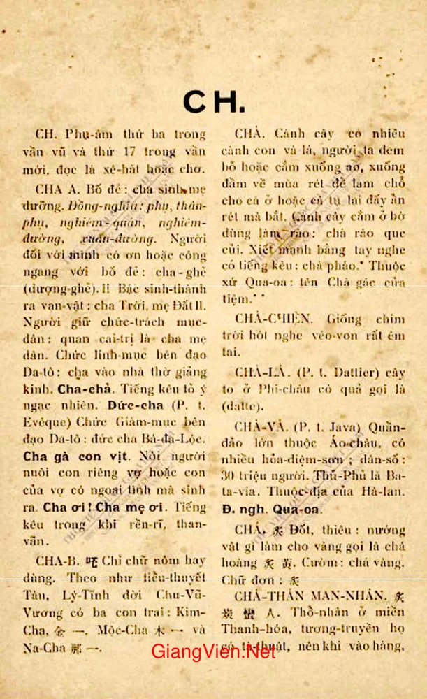 Trang bìa chính thức sách Nam ngữ chính tả tử vi - Tập 1