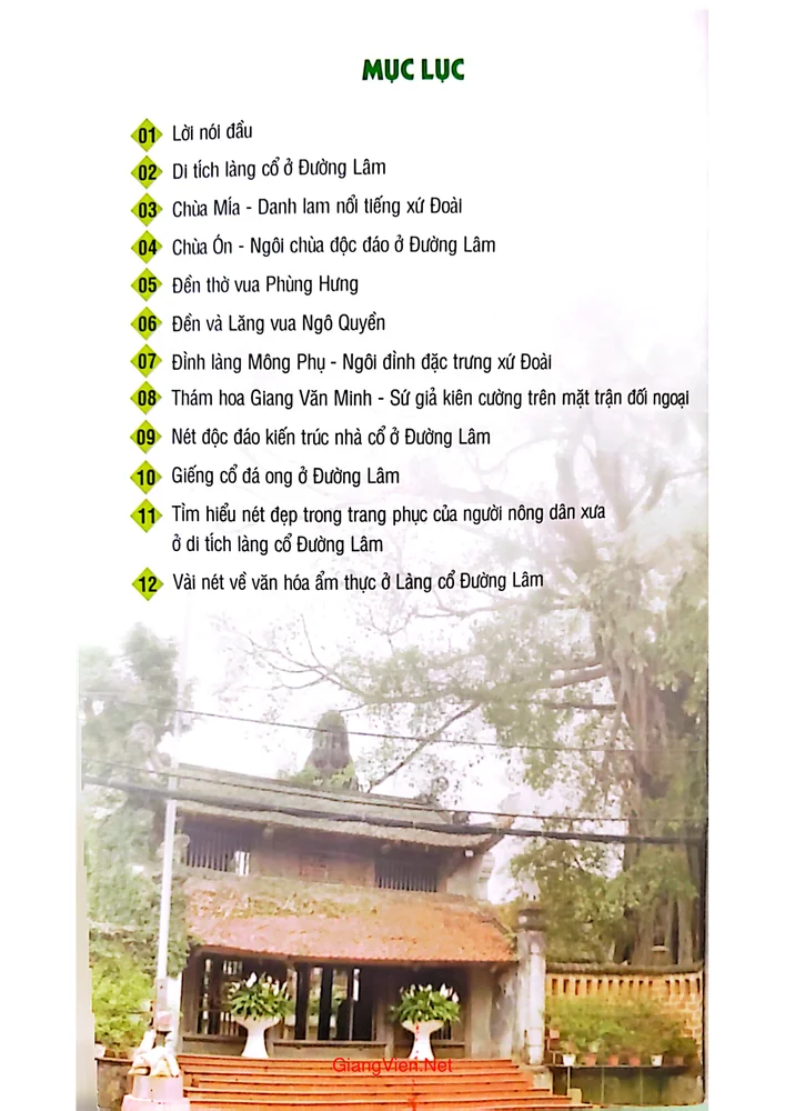 Trang bìa chính thức sách Di tích làng cổ ở Đường Lâm