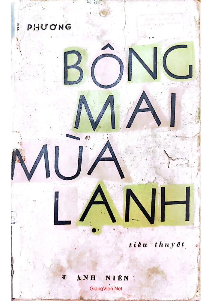 Ảnh bìa của Bông mai mùa lạnh