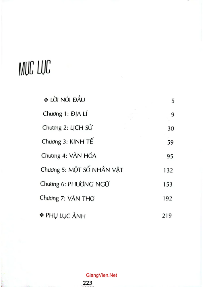 Trang bìa chính thức sách Làng Đa Lộc