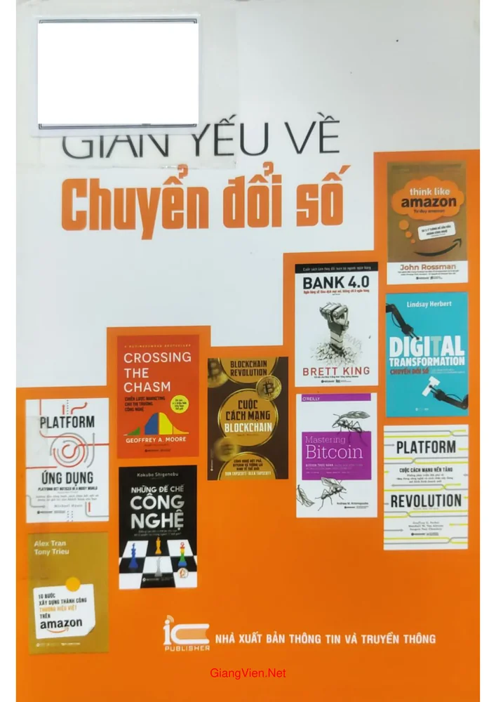 Ảnh bìa của Giản yếu về chuyển đổi số