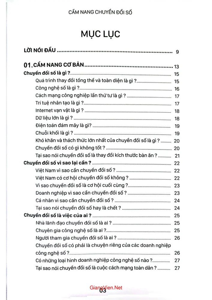 Trang 1 - Ảnh minh họa nội dung sách Cẩm nang chuyển đổi số