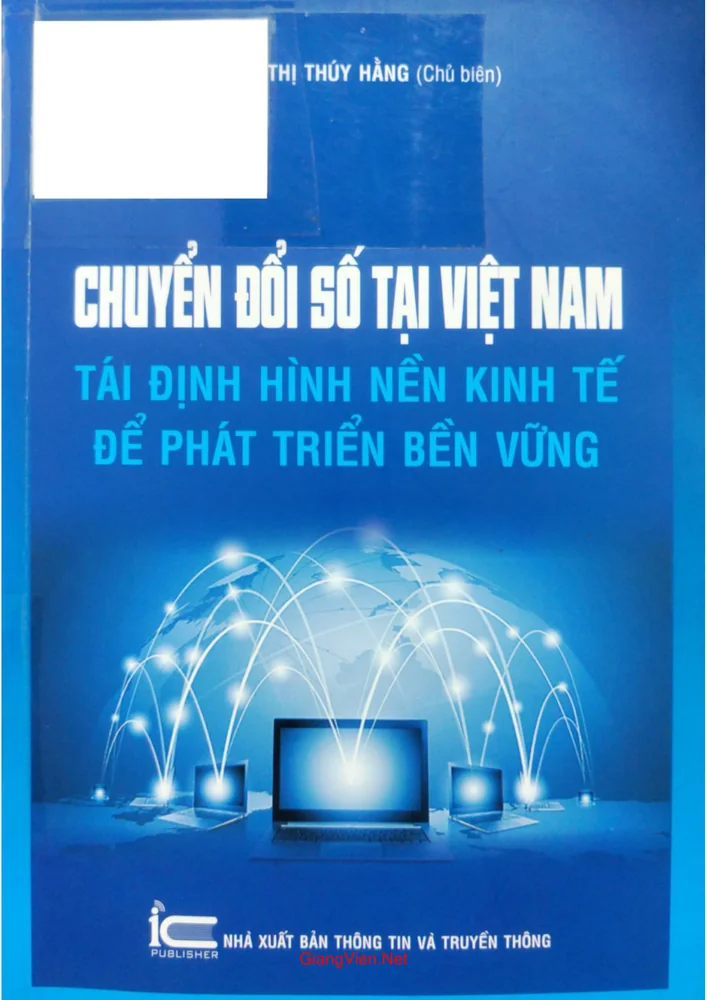 Ảnh bìa của Chuyển đổi số tại Việt Nam tái định hình nền kinh tế để phát triển bền vững