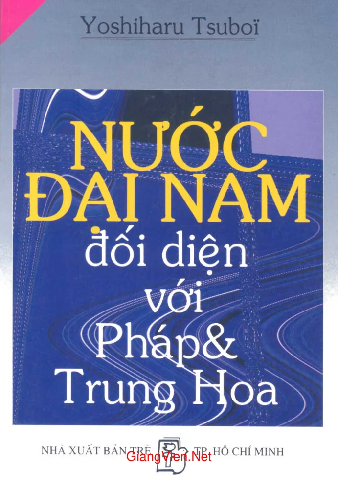 Ảnh bìa của Nước Đại Nam đối diện với pháp và Trung Hoa