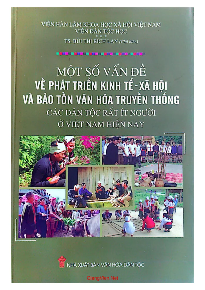 Ảnh bìa của Một số vấn đề về phát triển kinh tế xã hội và bảo tồn văn hóa truyền thống các dân tộc rất ít người ở Việt Nam hiện nay