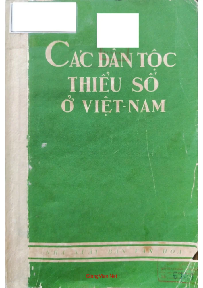 Ảnh bìa của Các dân tộc thiểu số ở Việt Nam