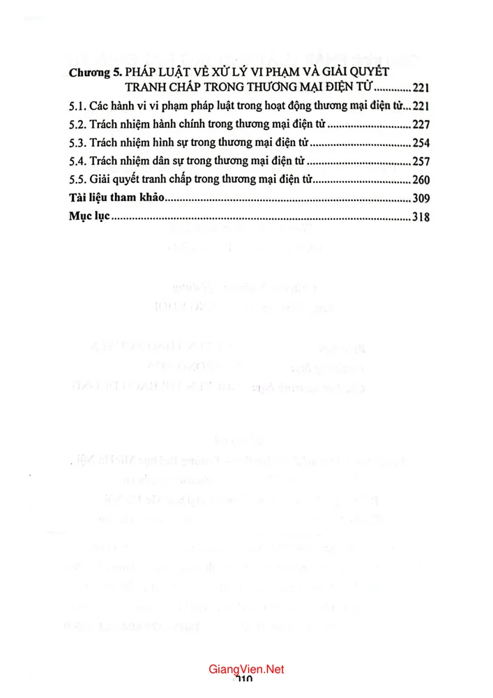 Trang 2 - Ảnh minh họa nội dung sách Giáo trình pháp luật thương mại điện tử