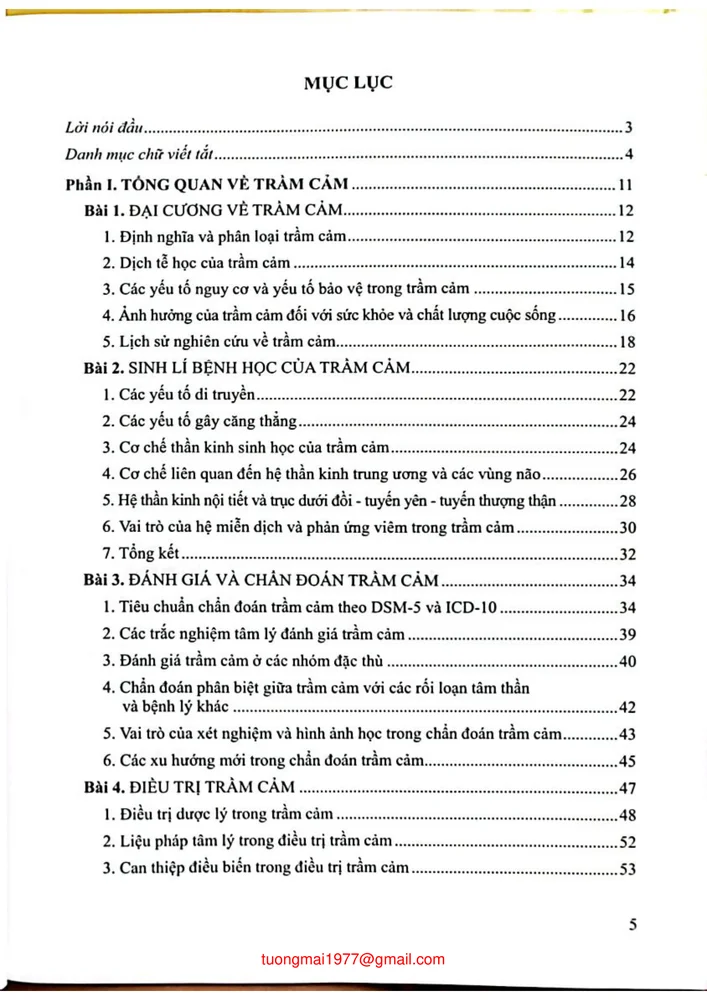 Trang bìa chính thức sách Trầm cảm trong tâm thần học liên kết