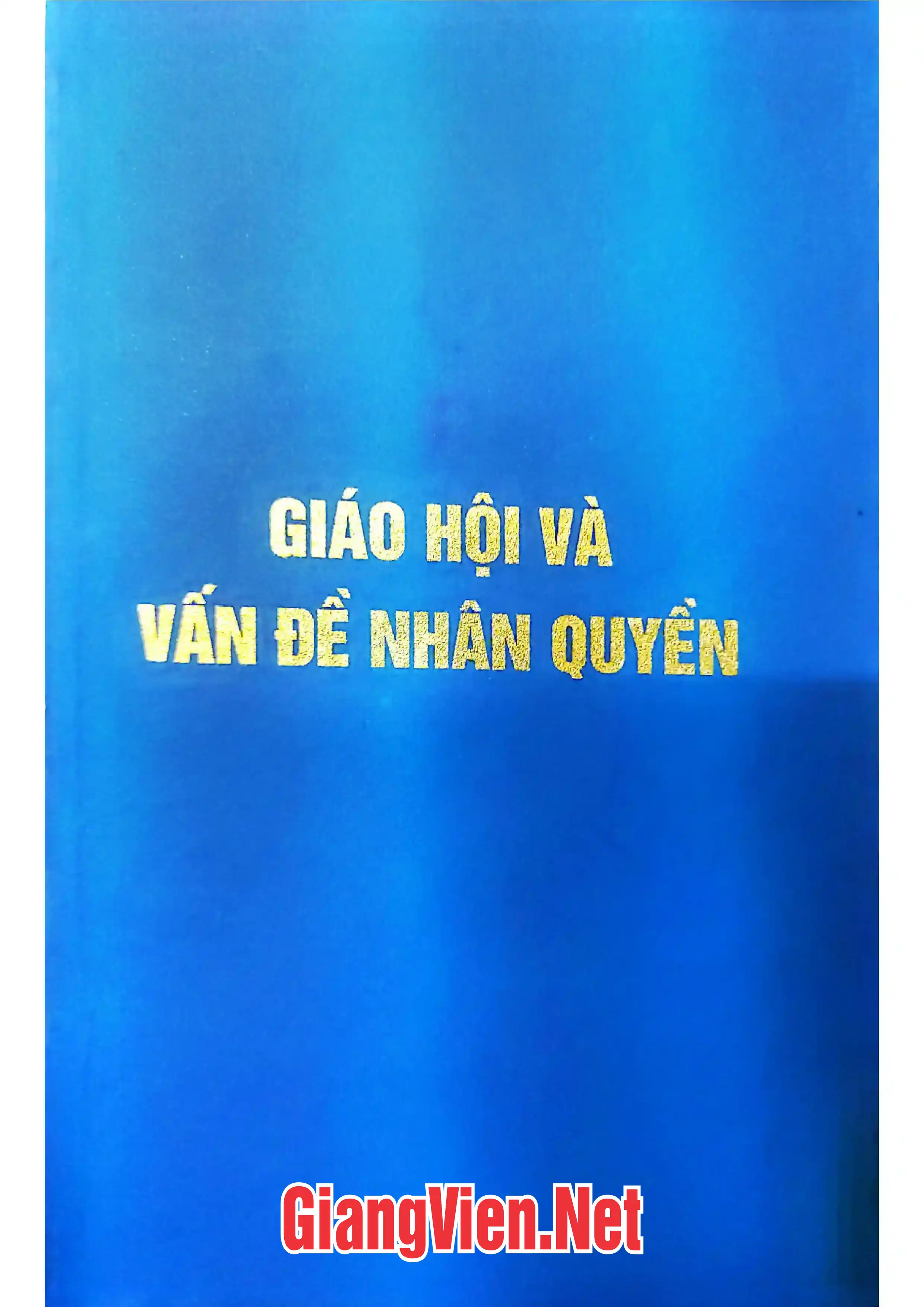 Giáo hội và vấn đề nhân quyền