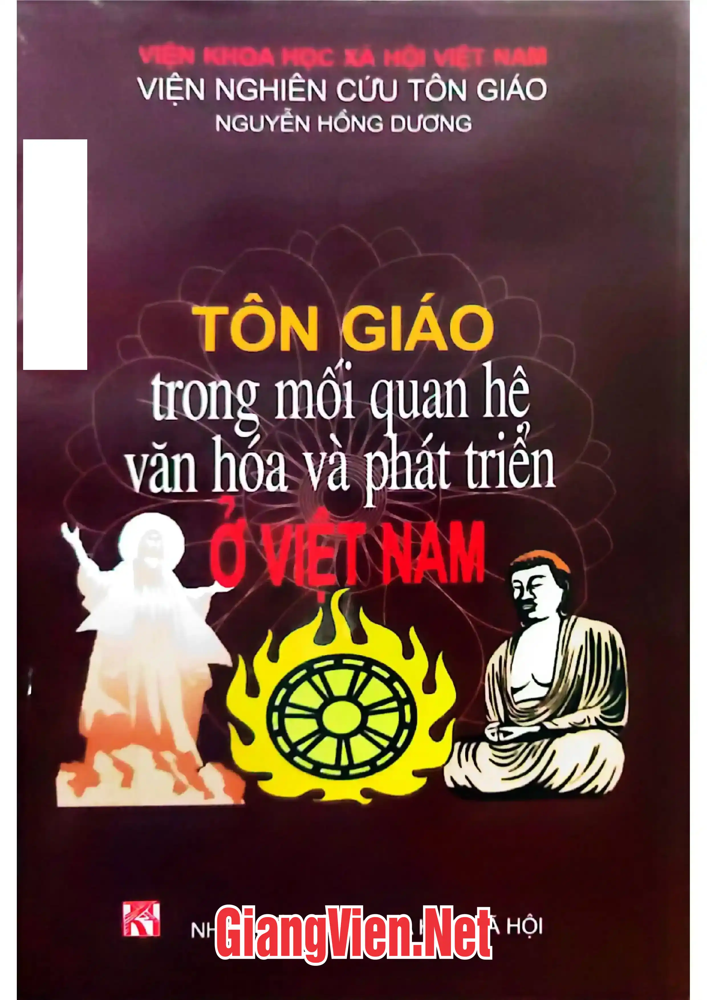 Tôn giáo trong mối quan hệ văn hóa và phát triển