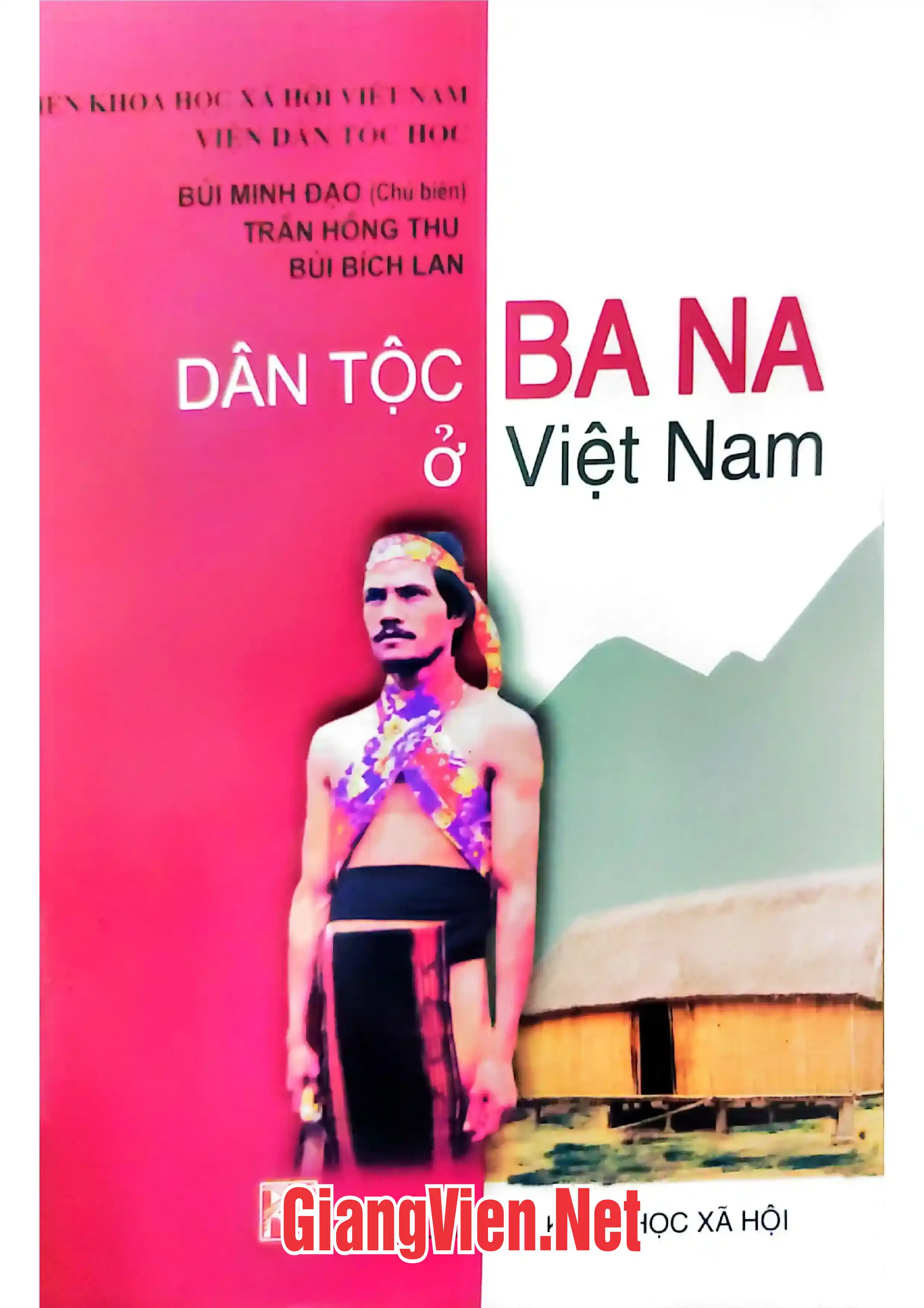 Dân tộc Ba na ở Việt Nam