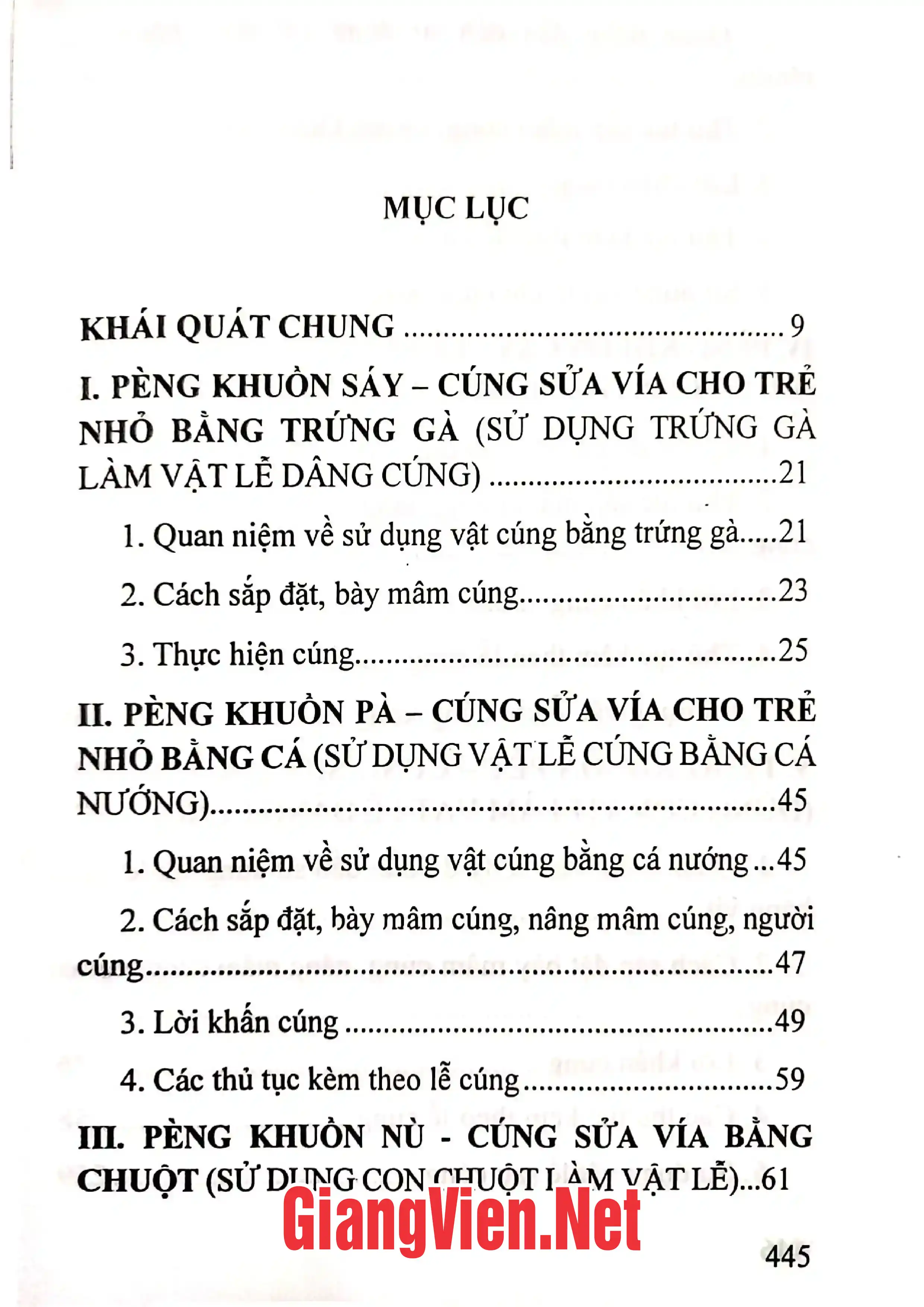 Ảnh minh họa nội dung cuốn sách: Lễ cúng sửa vía của người Thái Đen ở Mường Thanh, Điện Biên