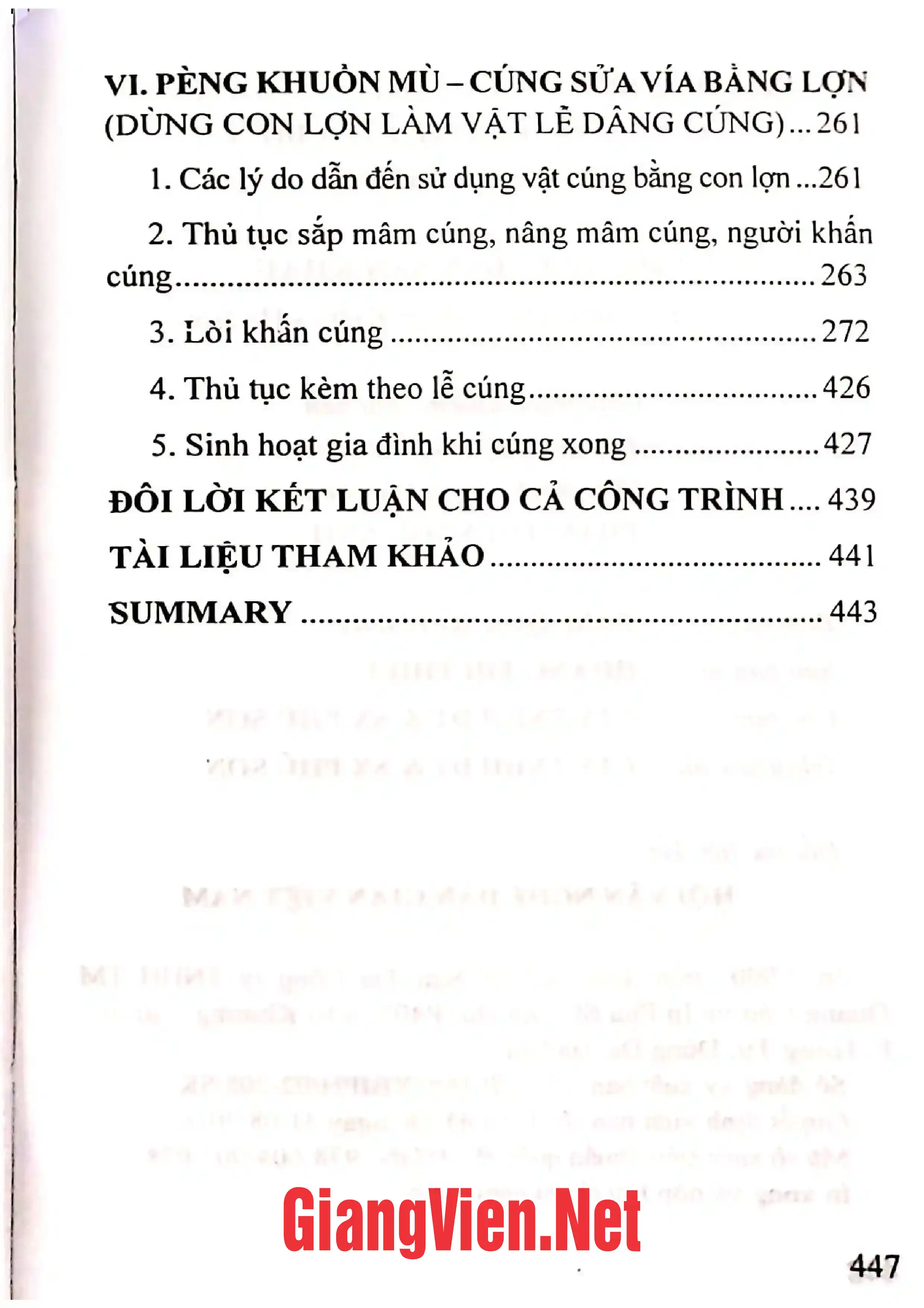 Ảnh minh họa nội dung cuốn sách: Lễ cúng sửa vía của người Thái Đen ở Mường Thanh, Điện Biên