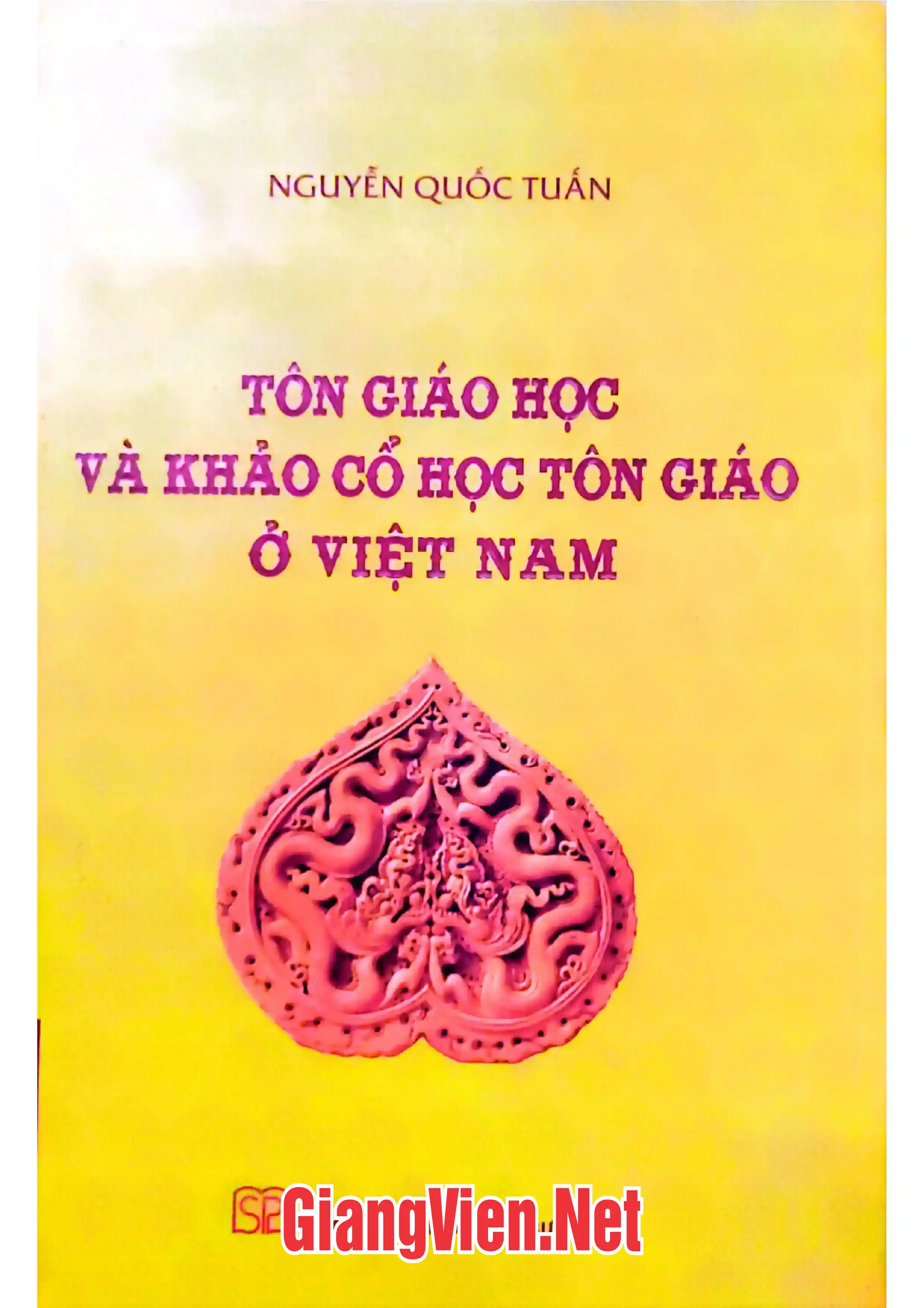 Tôn giáo học và khảo cổ học tôn giáo ở Việt Nam