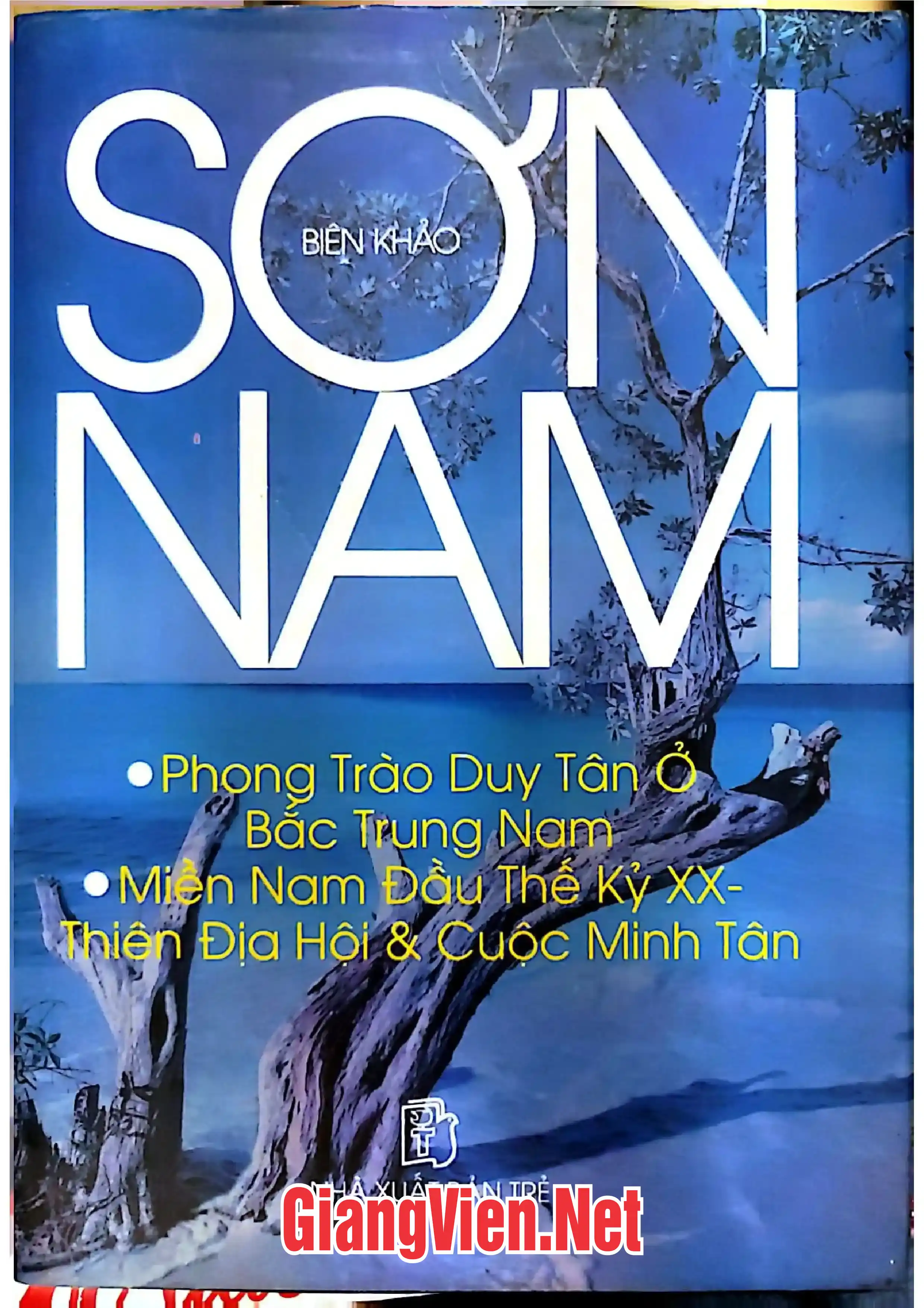 Phong trào Duy Tân ở Bắc, Trung, Nam  Miền Nam đầu thế kỷ XX: Thiên Địa hội và cuộc Minh Tân