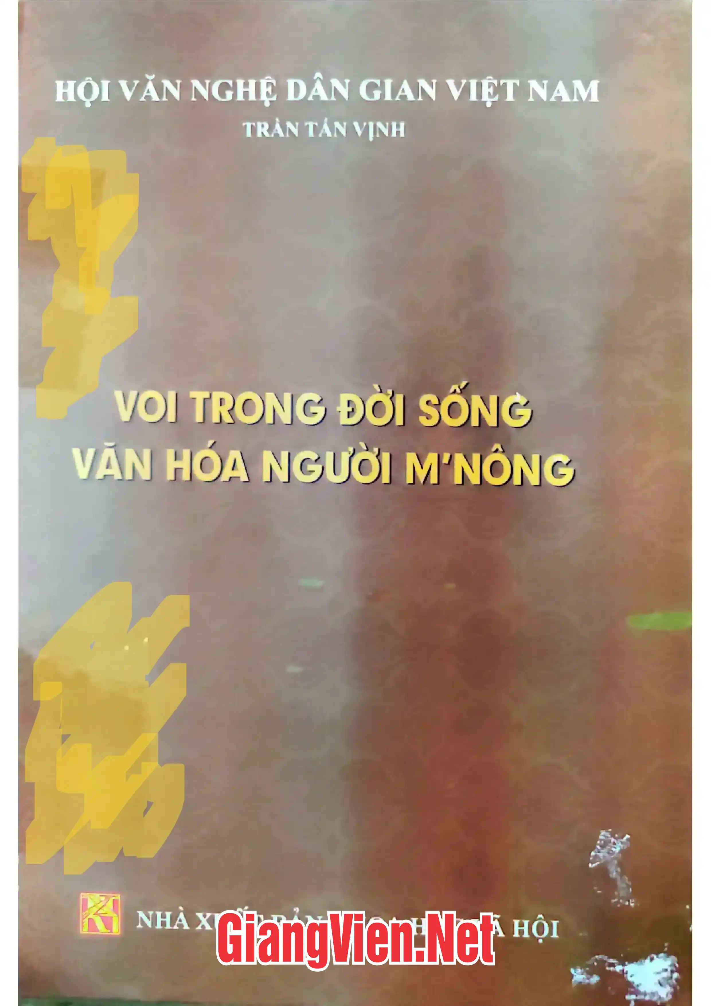 Voi trong đời sống văn hóa người MNông
