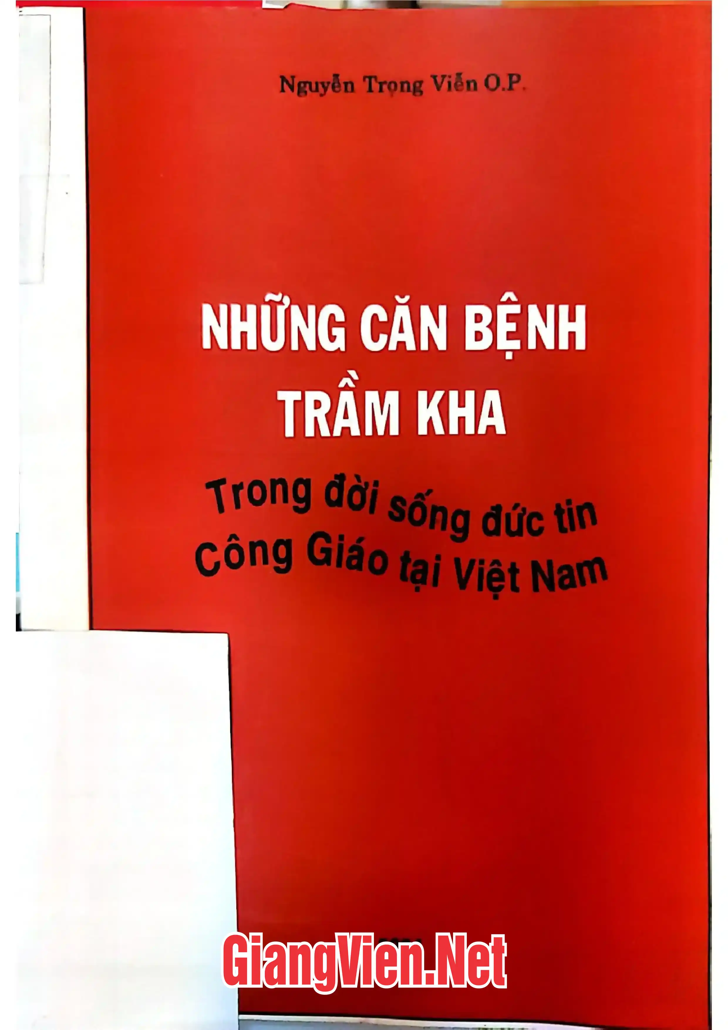 Những căn bệnh trầm kha trong đời sống đức tin Công giáo tại Việt Nam