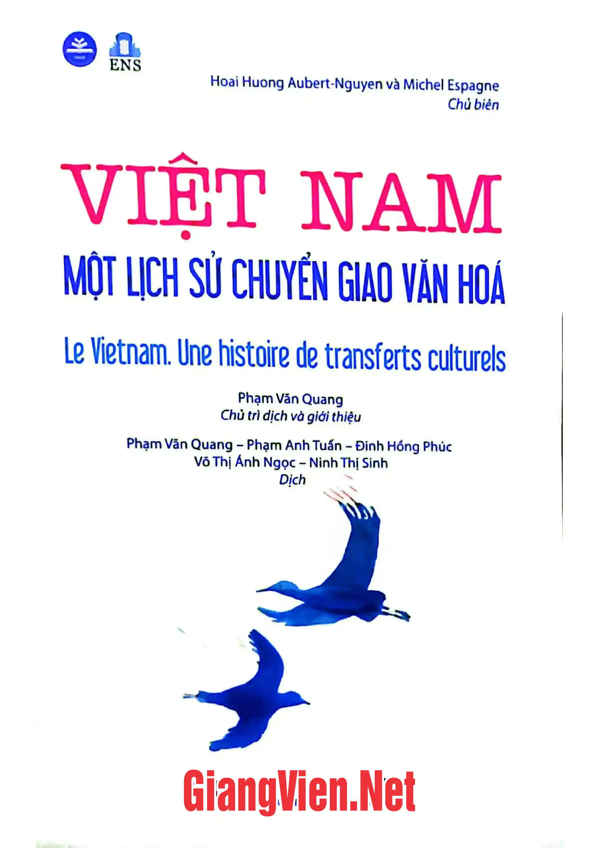 Việt Nam một lịch sử chuyển giao văn hóa