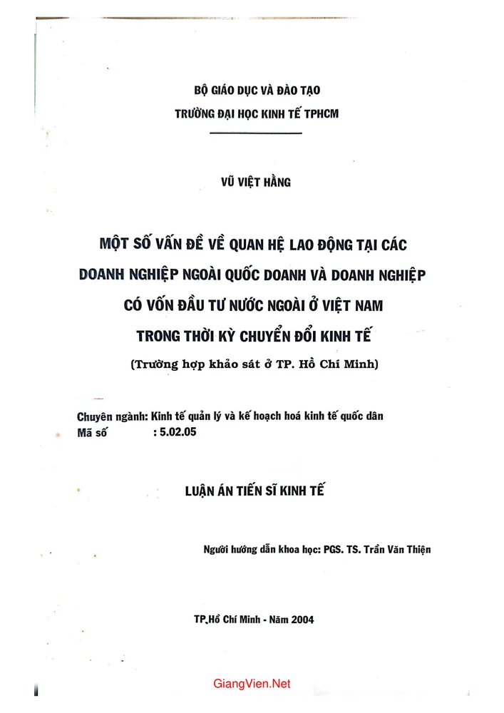 Một số vấn đề về quan hệ lao động tại các doanh nghiệp ngoài quốc doanh và doanh nghiệp có vốn đầu tư nước ngoài ở Việt Nam trong thời kỳ chuyển đổi kinh tế (khảo sát ở TP Hồ Chí Minh)