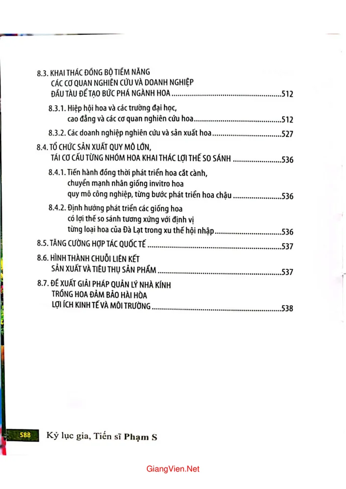 Trang 11 - Ảnh minh họa nội dung sách Đà Lạt Festival hoa Đà Lạt tầm cỡ quốc gia và đẳng cấp quốc tế