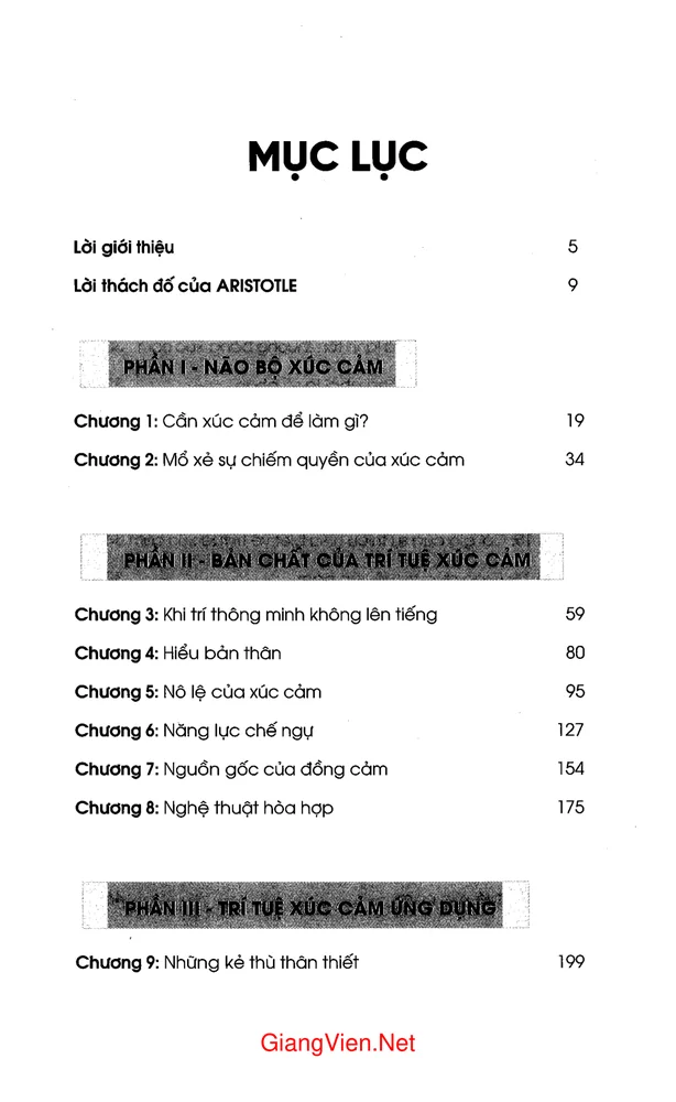 Trang 1 - Ảnh minh họa nội dung sách Trí tuệ xúc cảm