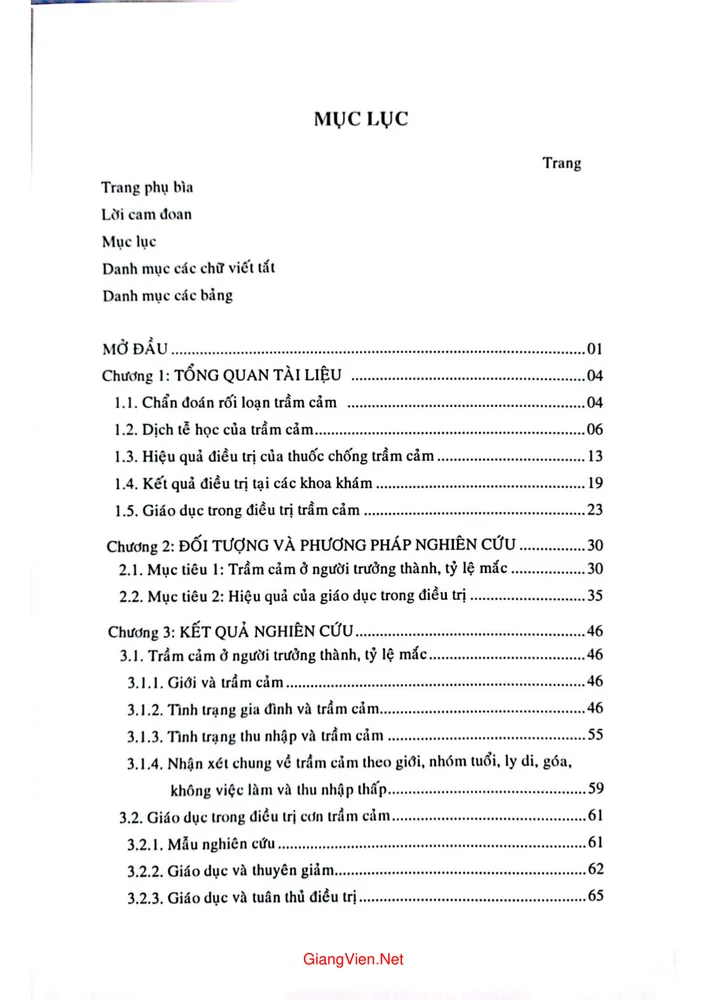 Trang 1 - Ảnh minh họa nội dung sách Trầm cảm ở người trưởng thành tại thành phố Hồ Chí Minh tỷ lệ mắc và hiệu quả của giáo dục trong điều trị