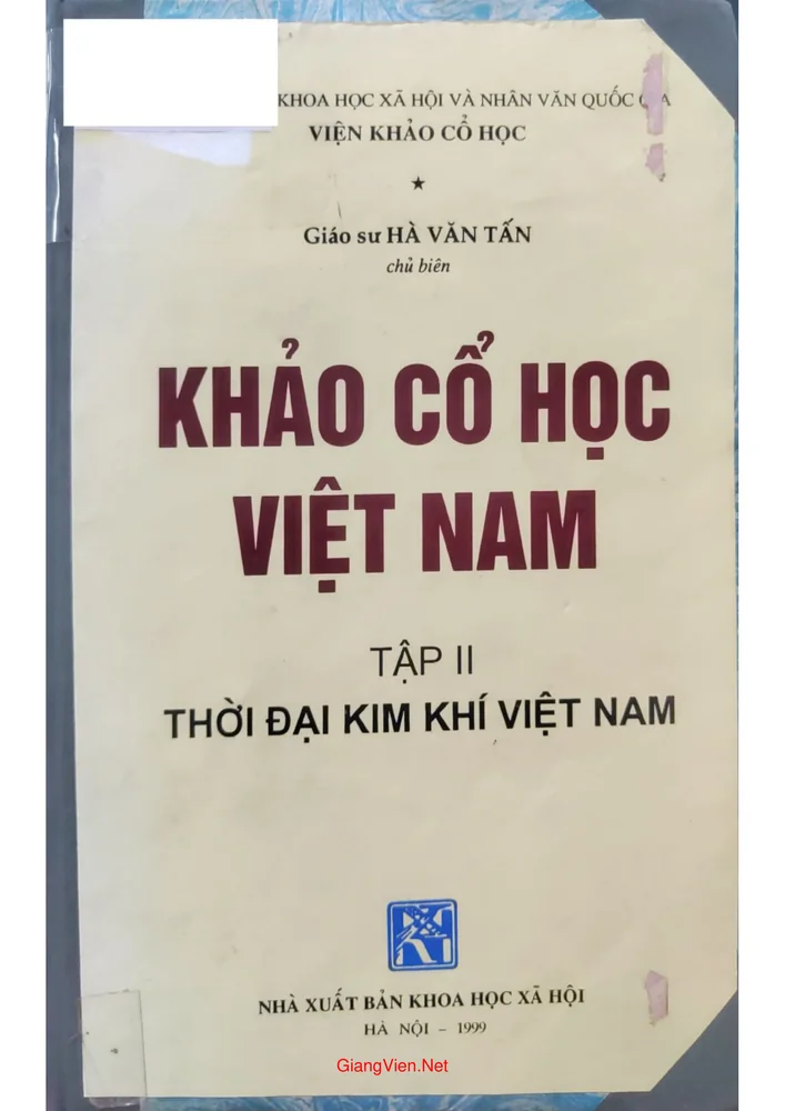 Khảo cổ học Việt Nam. Tập 2 Thời đại kim khí